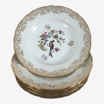 6 assiettes creuses en porcelaine oiseau de paradis