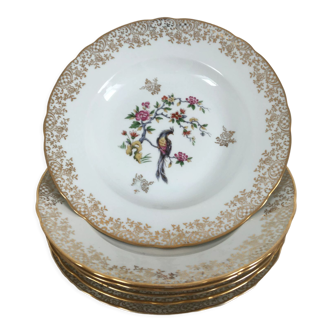 6 assiettes creuses en porcelaine oiseau de paradis