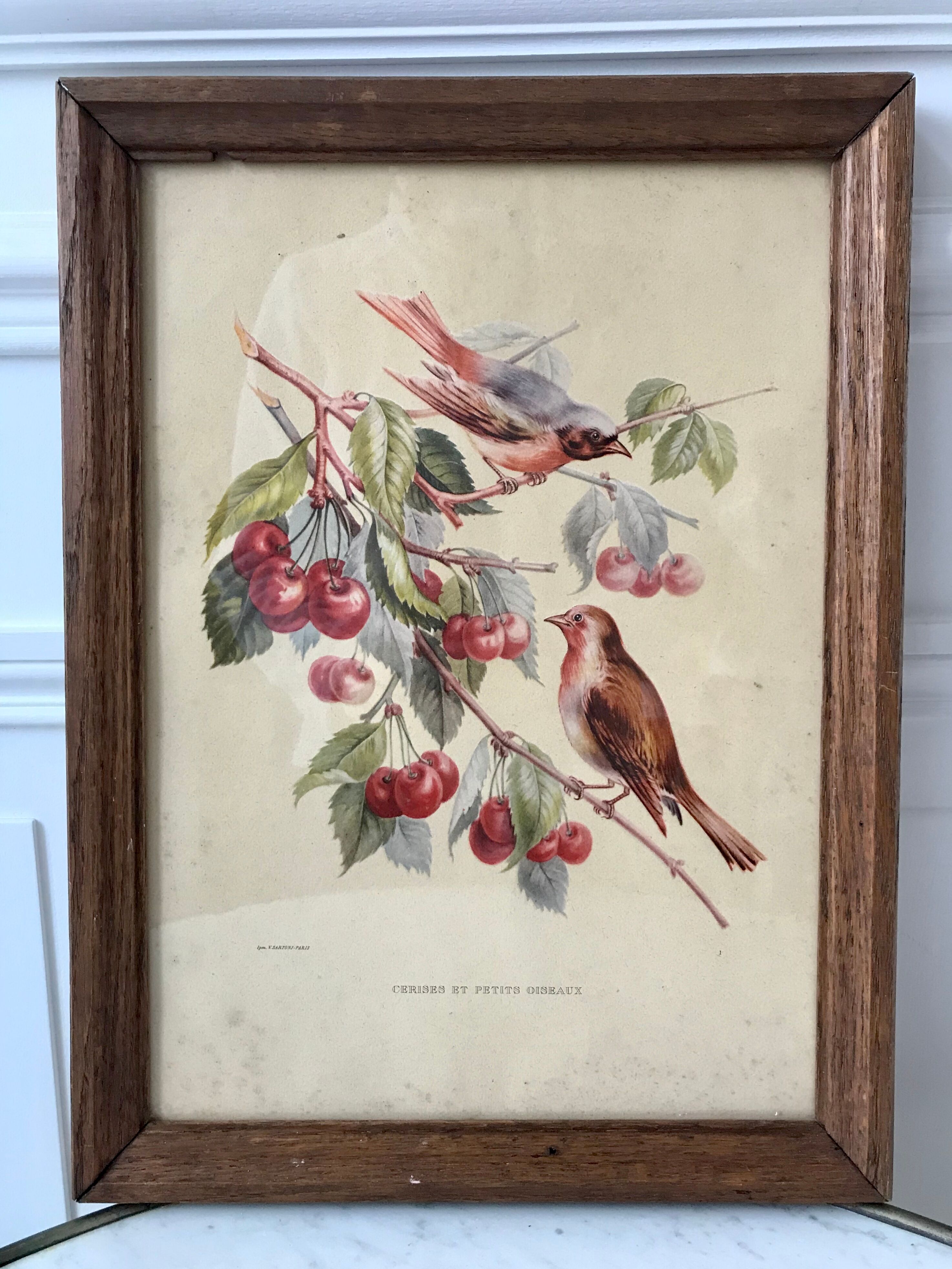 Lithograph v. sartonj cherries and small birds oak frame 50s