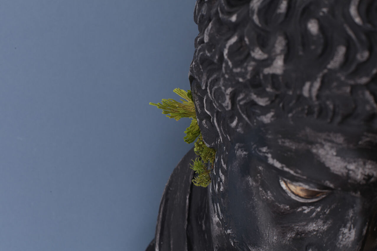 Greek head in waxed black plaster