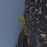Greek head in waxed black plaster