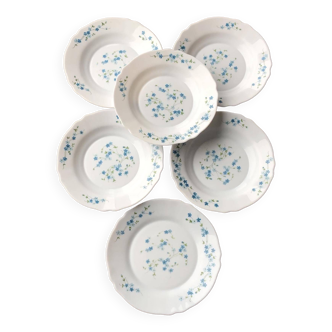 Arcopal “Myosotis” plate set