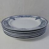 Iron earth 6 flat plates medaillon