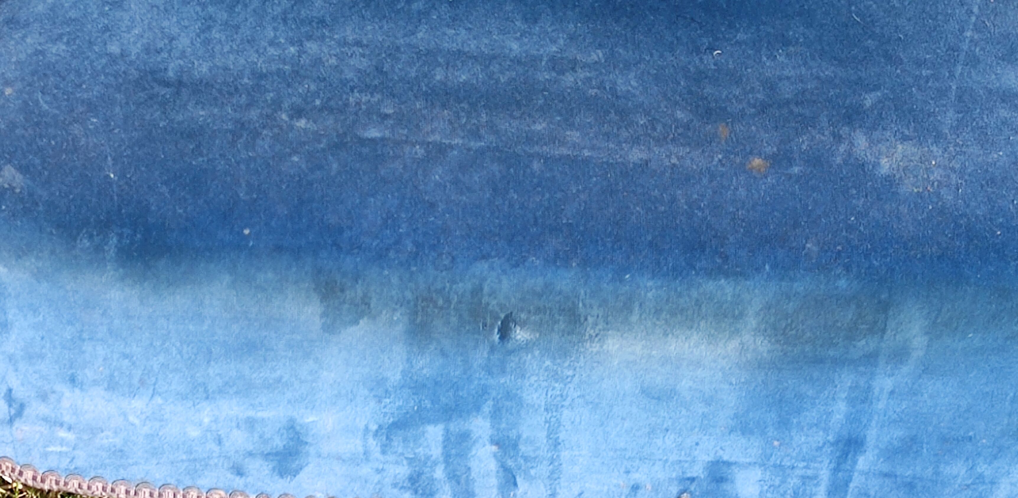 Armchair Napoleon III blue velvet