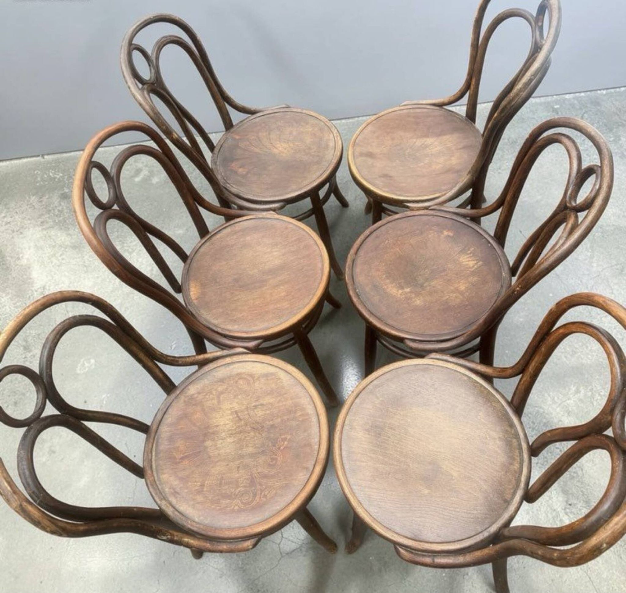 6 chaises Hofmann Bielitz (Modèle N°18, période 1900-1915)