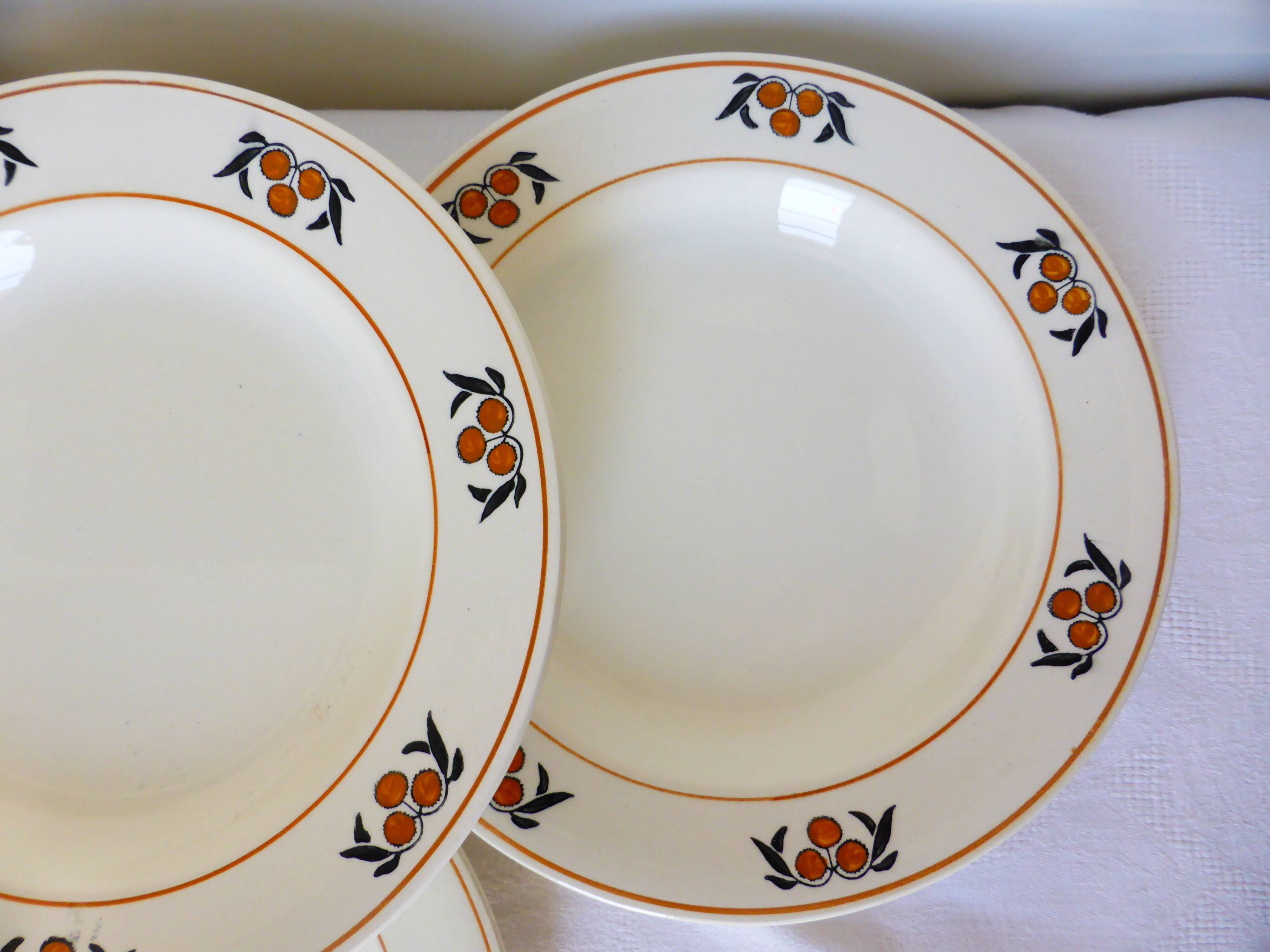 6 hollow plates in iron earth of the Salins model Mimosa 210745