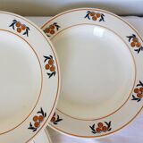 6 hollow plates in iron earth of the Salins model Mimosa 210745