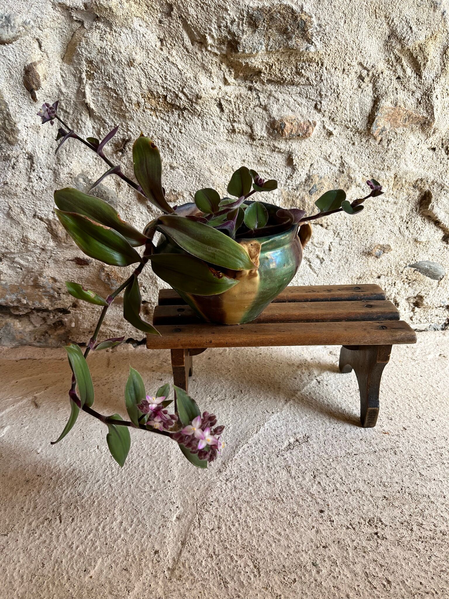Wooden plant bench