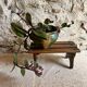 Wooden plant bench