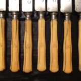 Set of 7 steel blade knives