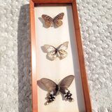 Painting with 3 butterflies