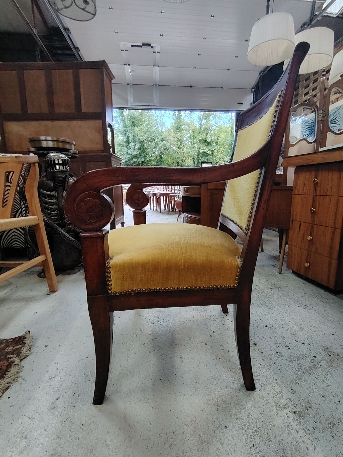 Armchair with scroll arms and sabre legs in mustard velvet, 19th century.