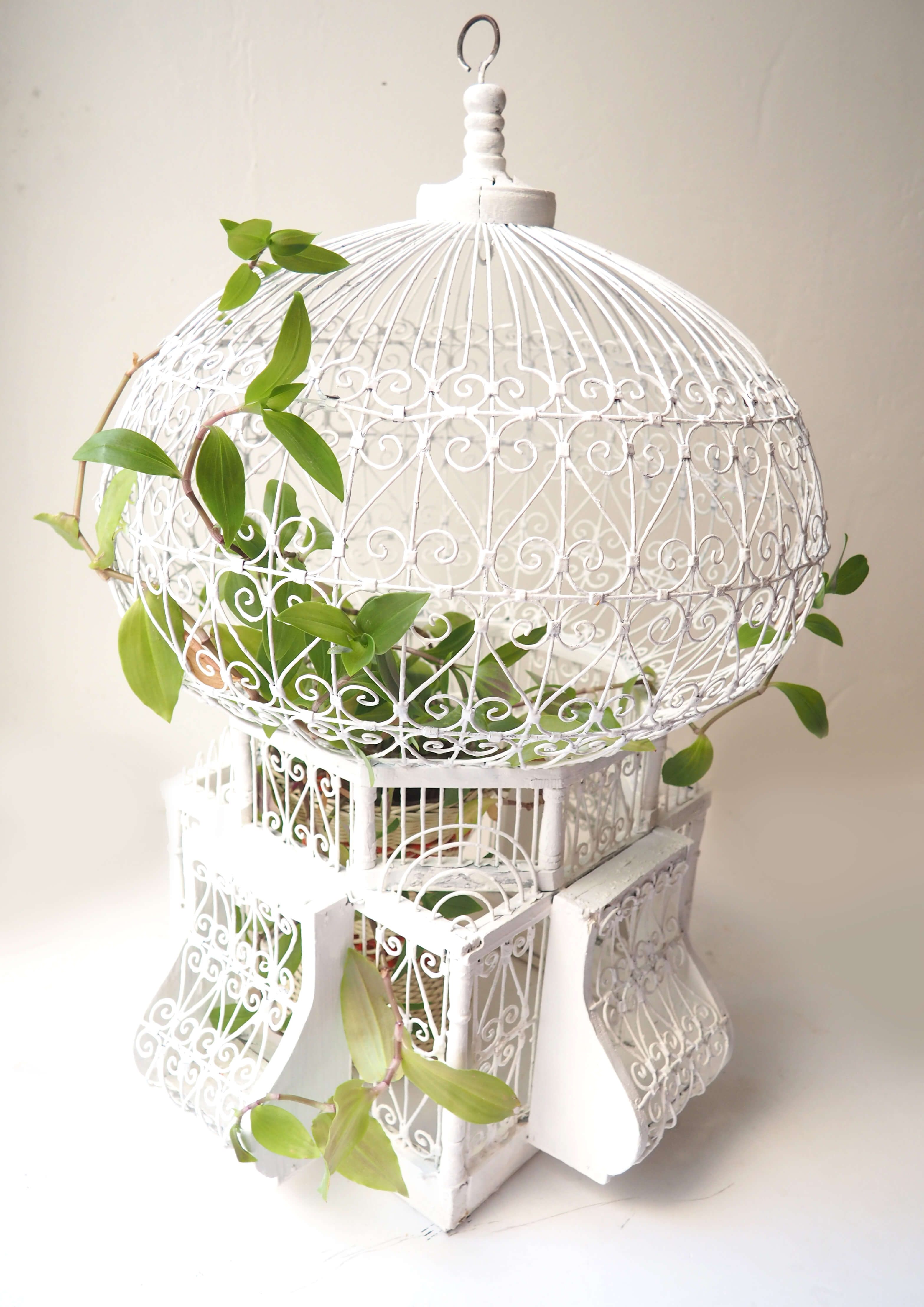 Cage tunisienne