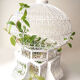 Cage tunisienne