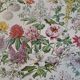 Ancienne planche botanique « Fleurs – Arbres et arbisseaux » – 1930