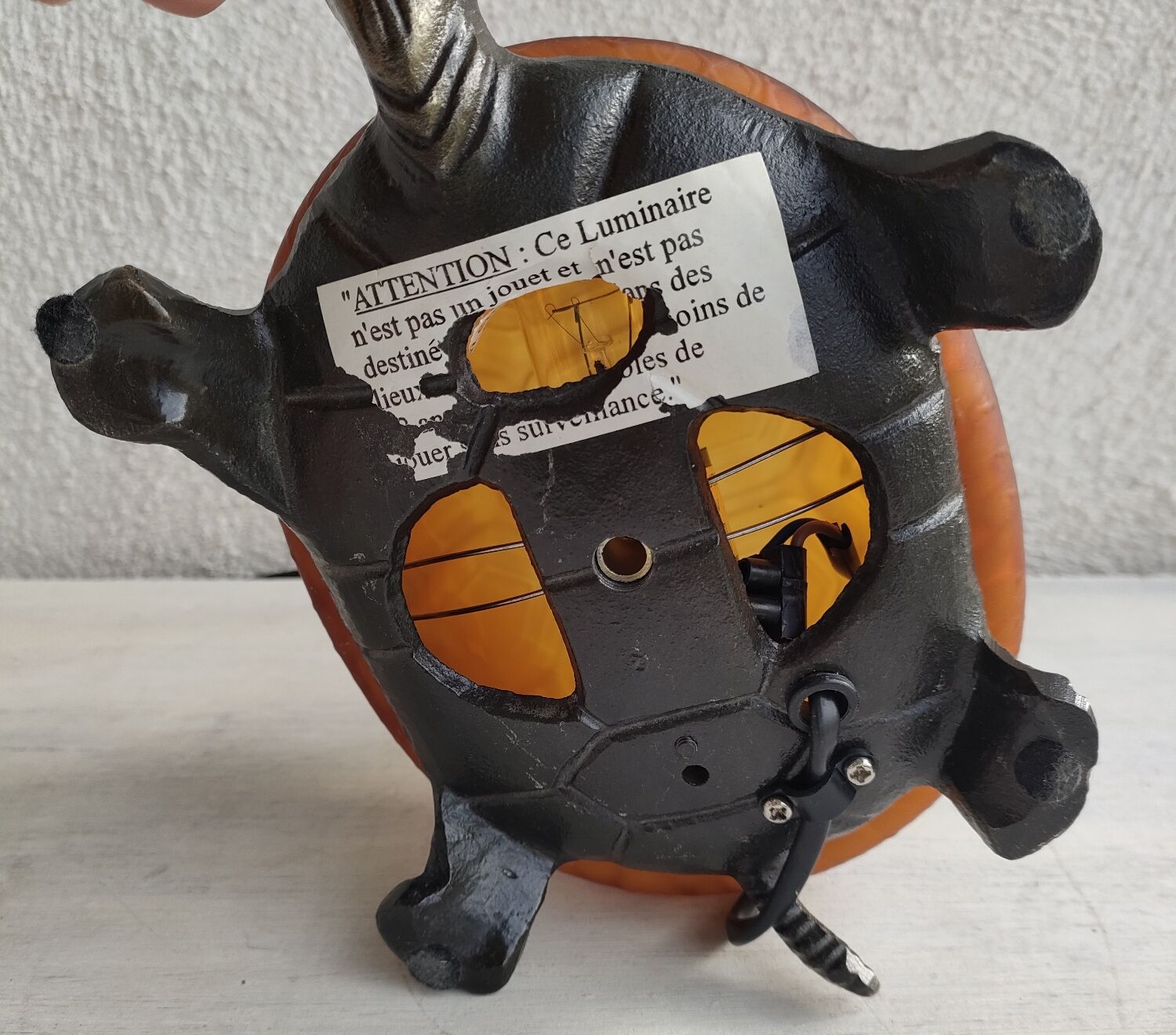 Night light turtle to pose