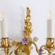 Pair of bronze wall lights with flower decoration. Circa 1880.