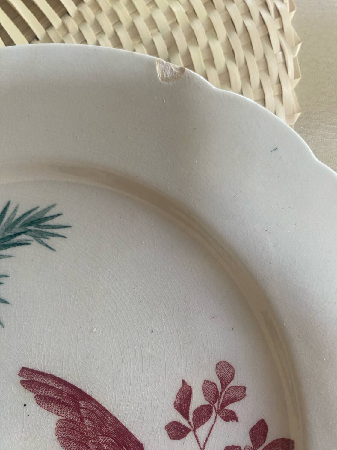 Longwy ironstone flat plate, Birds pattern