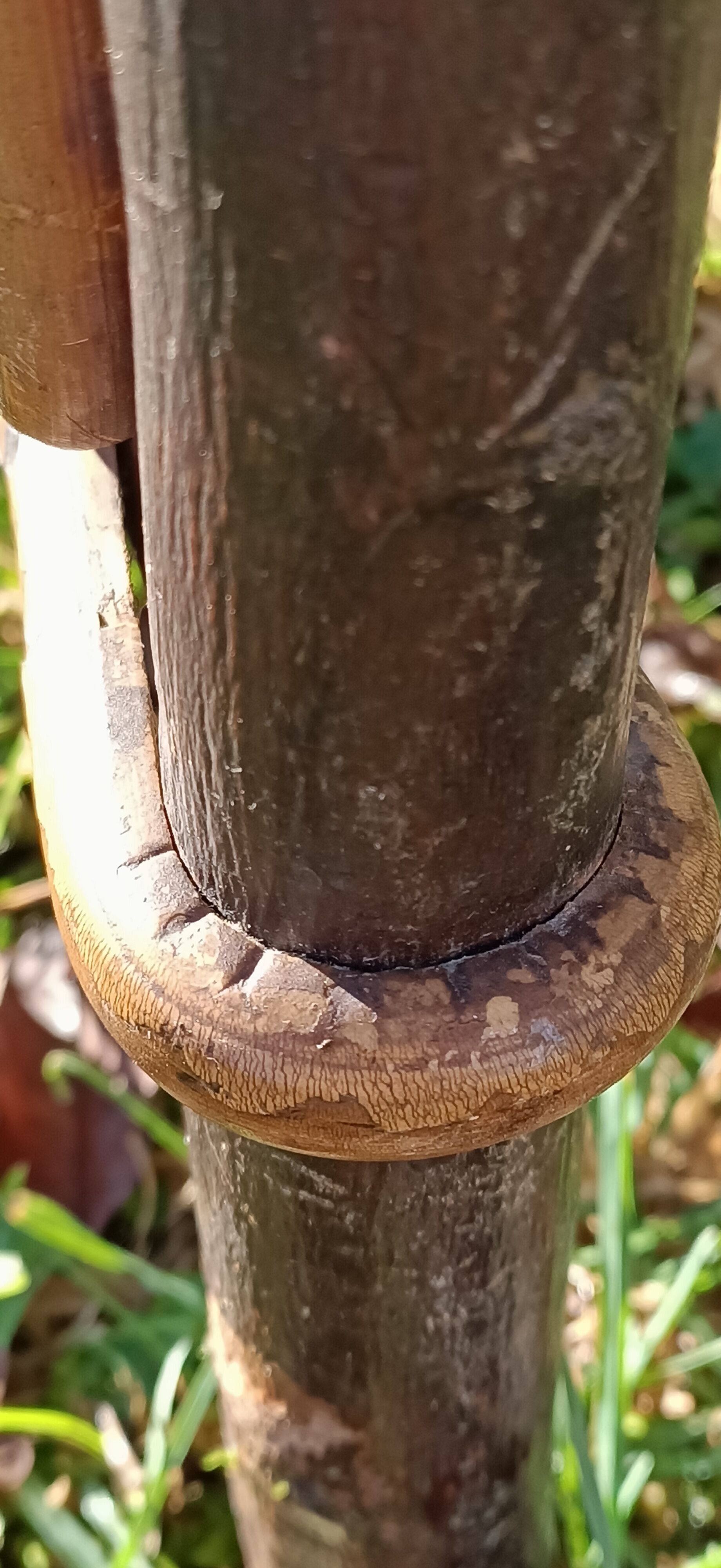 Very old vintage wicker lounge chair