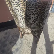 Vintage leopard armchair