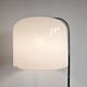 MCM Alvise floor lamp by Luigi Massoni for Guzzini 1960s