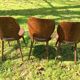 3 chaises bistrot