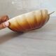 Brown and white ceramic shell bowl