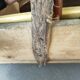 Old wooden basket