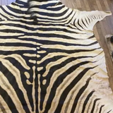 Real zebra skin