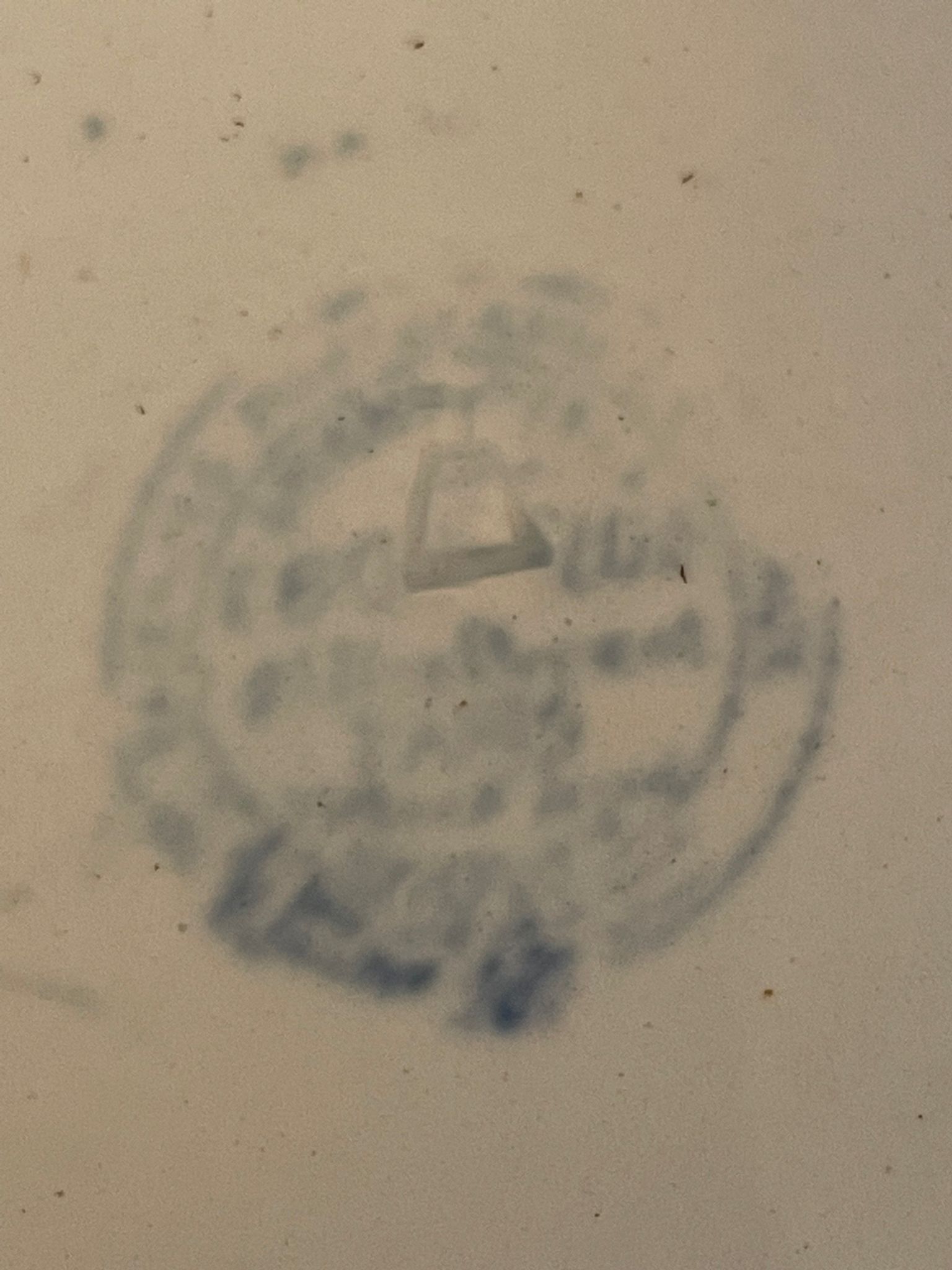 Old ceramic dish