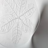 Large Kosta Boda Glass Cheese Platter: Vintage Leaf Design by Wärff / 1975