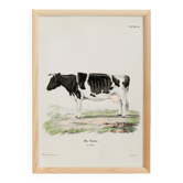 Poster about a cow, based on an old engraving from 1774.