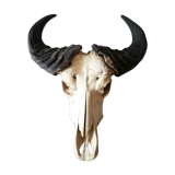 Crane buffalo taxidermy massacre