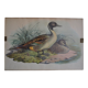 Vintage animal print ducks
