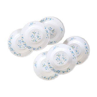 Set de 6 assiettes creuses Arcopal motif Véronica, vintage Français