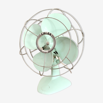 Green mint fan calor