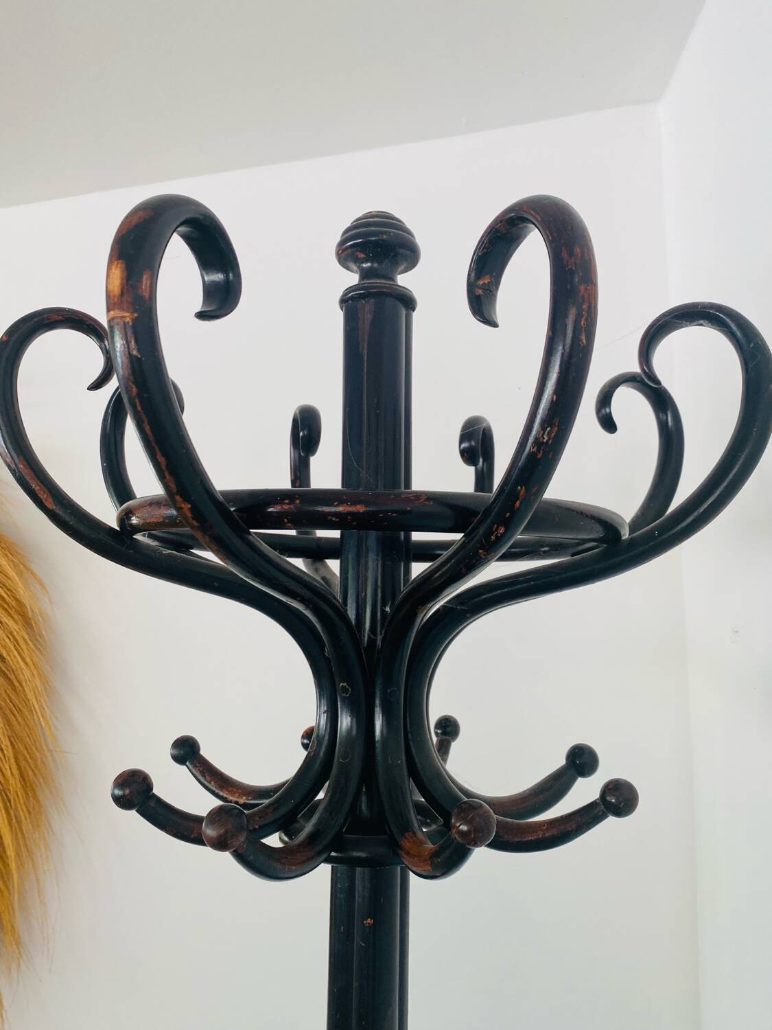 Porte manteau perroquet Thonet