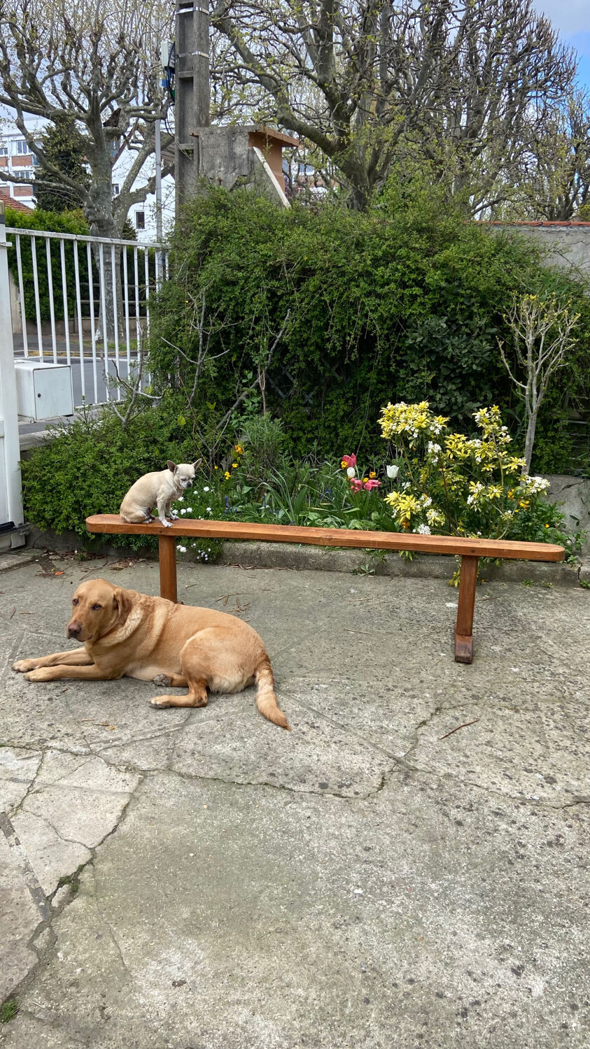 Old farmhouse bench early twentieth century