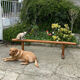 Old farmhouse bench early twentieth century