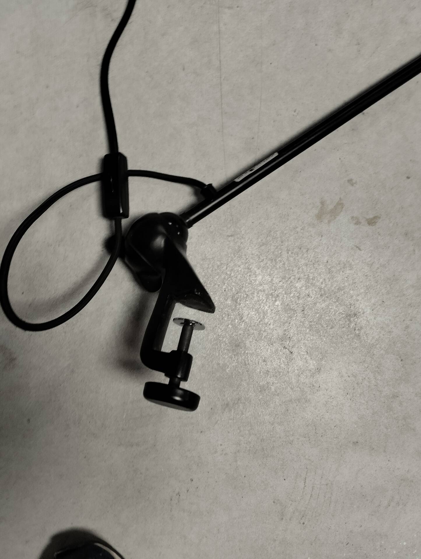DCW edition lamp