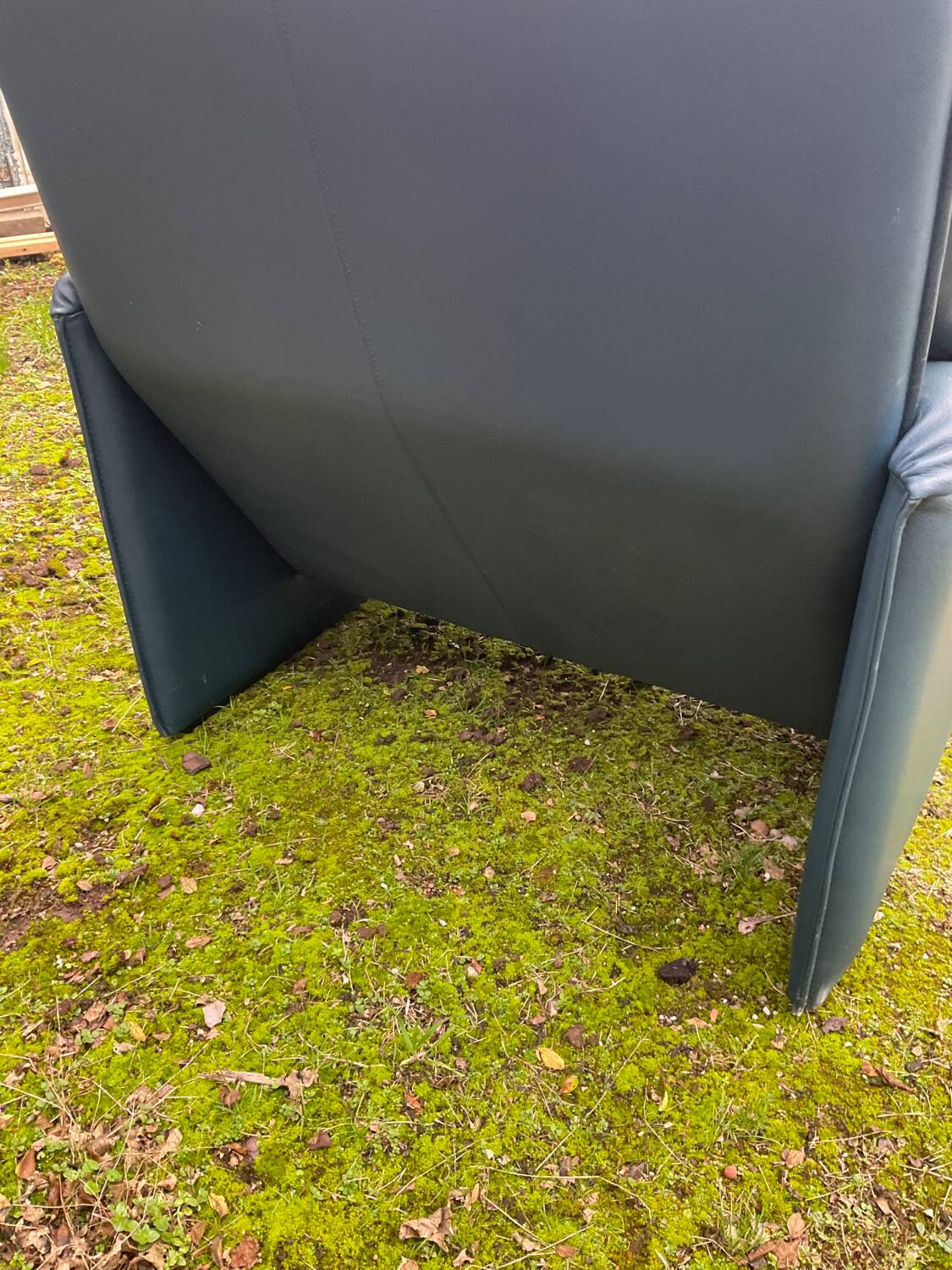 Fauteuil Bora Bora pour Leolux par Axel Enthoven