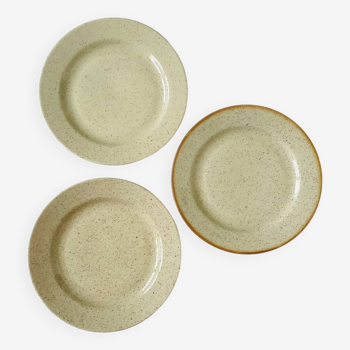 Set of 3 speckled stoneware dinner plates Tulowice Poland