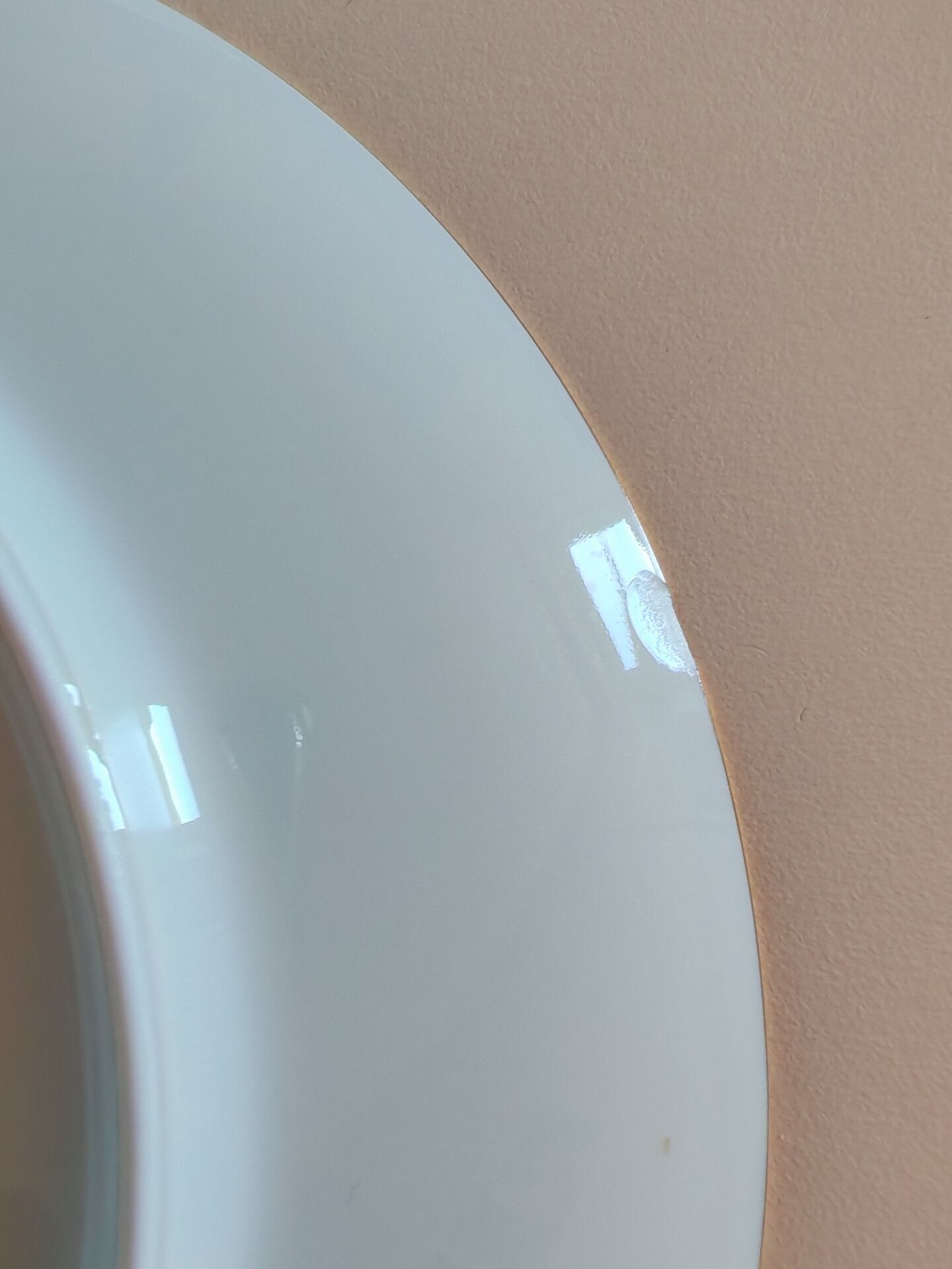 Set of 12 Limoges LP bee plates