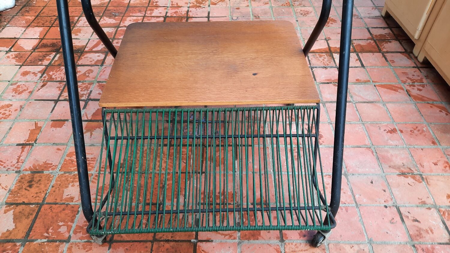 Trolley on wheels with vinyl door