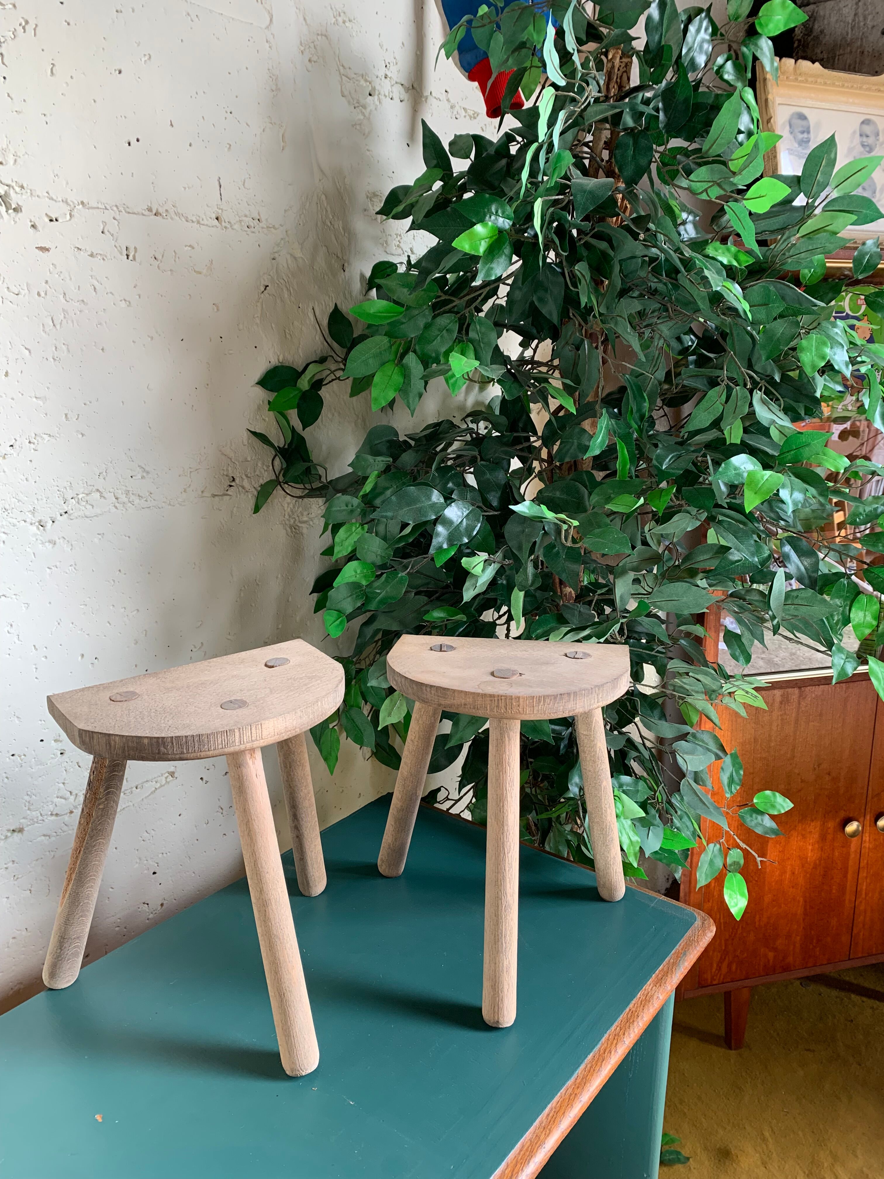 Duo de tabourets tripodes en bois brut