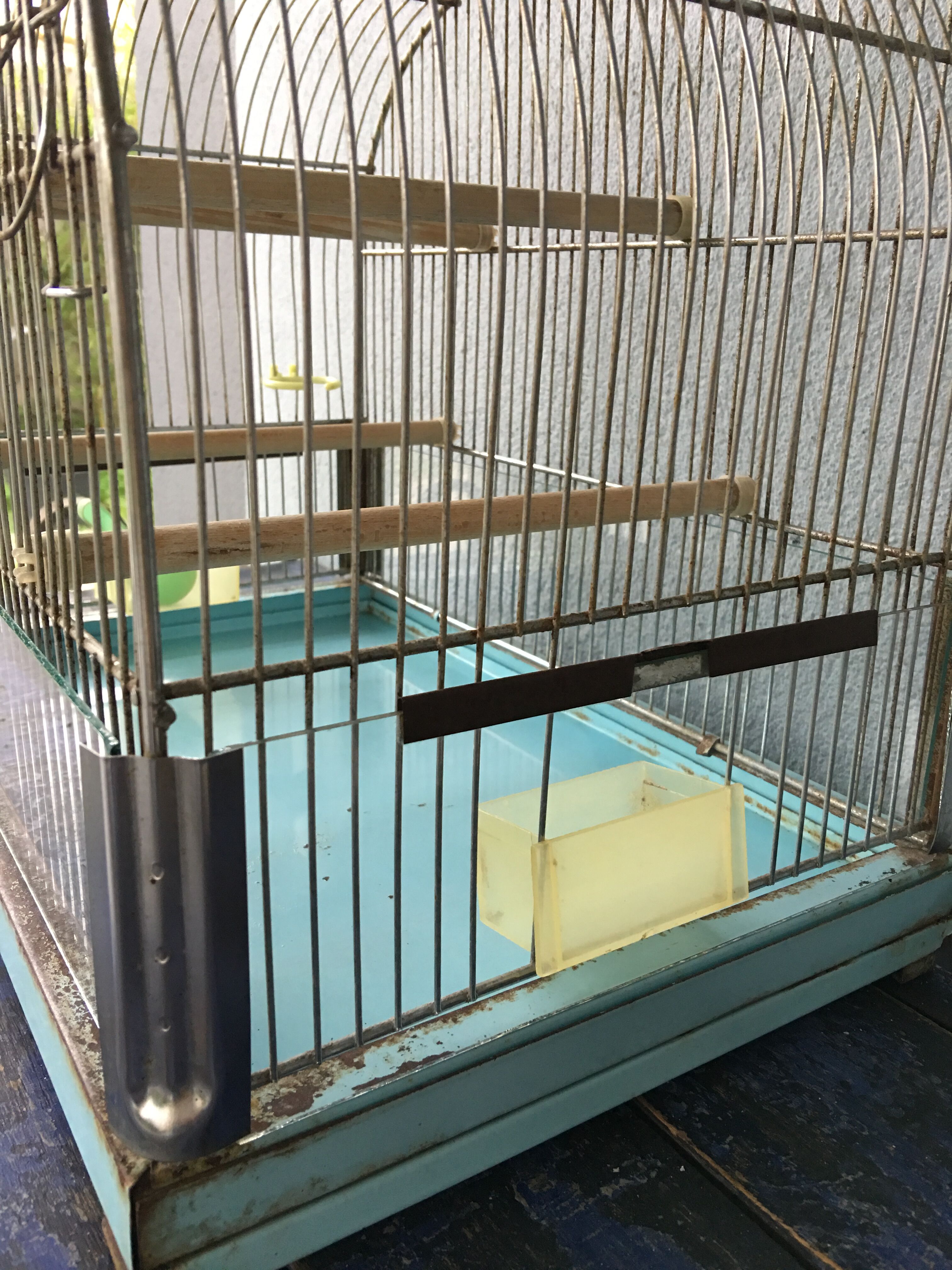 Vintage birdcage
