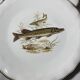Fish plates in Limoges porcelain – Vintage service for 6