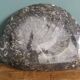 Marble trinket tray with ammonite fossil