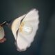 Vintage wall lamp with white opaline glass shade