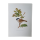 Chickadee bird board